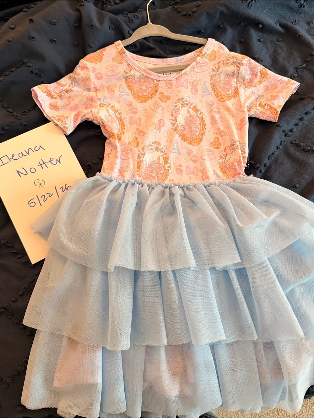 Blush Lotus Magical Kingdom Tulle Skirt Dress